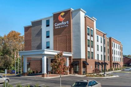 Comfort Inn  Suites Downtown near University tuscaloosa
